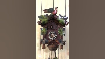 Đồng hồ cuckoo Germany 3 tạ máy ngày có nhạc .