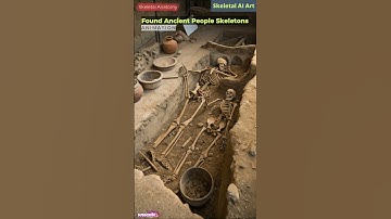 2000 BC Ancient People Skeletons Animation | Skeletal Anatomy | Skeletal AI Art | 02