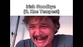 What Listening to FENIAN by Kneecap feels like :