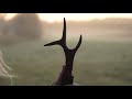 Baltic trophy hunting tv metsapoole s1e2