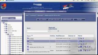 Bpm Solutions For Egovernment