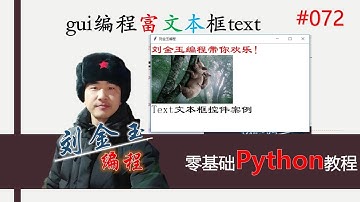 零基础Python教程072期 gui编程富文本框text控件，超级牛#编程创造城市#刘金玉