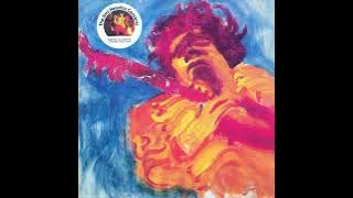 Jimi Hendrix- The Jimi Hendrix Concerts 1982
