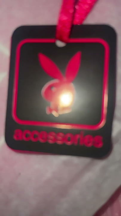 Playboy passport holder ✈️ #playboy #vintage #aesthetic #y2k #2000 #travel #passport #cute #short