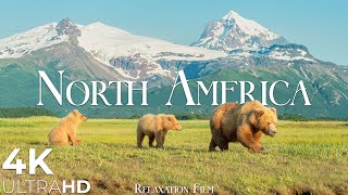 North America 4K - Nature Relaxation Film - Native America Music - Meditation Relaxing Music
