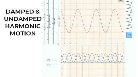 DAMPED AND UNDAMPED | PHYSICS ANIMATIONS AND SIMULATIONS | PHET SIMULATIONS