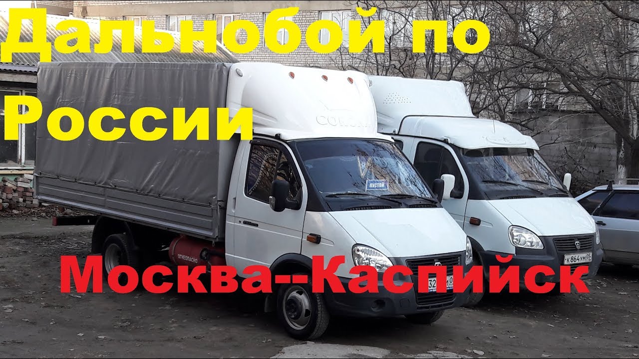 Рейсы для газели