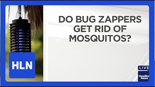 Get Rid of Your Bug Zapper Why You Should Stop Using Bug Zappers Immediately