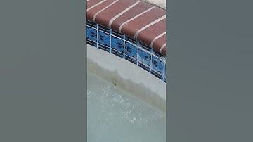 Does Pool Tile Bead Blast Make a Difference?!?!