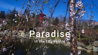 People queue to get there Люди стоят в очереди чтобы попасть в ⛩️Japanese garden