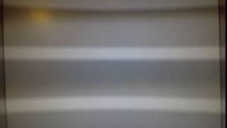 DSCN7411