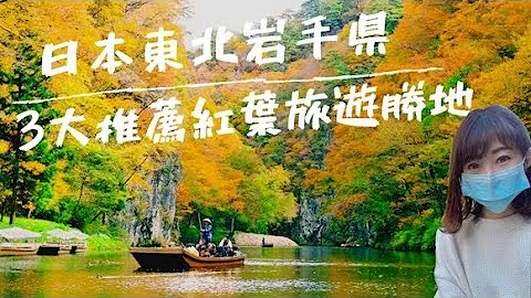 一个人自由行｜东北旅游【岩手县】3大推荐红叶旅游胜地🍁 猊鼻溪渡船🛶 x 毛越寺 x 中尊寺🏯 - 天天要闻