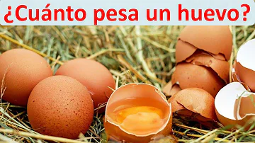 ¿Cuánto mide un huevo Jumbo?