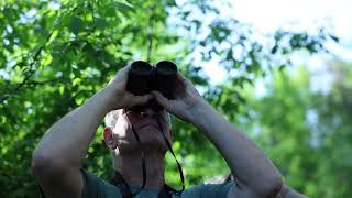 Birding Famous Magee Marsh during PEAK MIGRATION! Biggest Week in America Birding Festival!