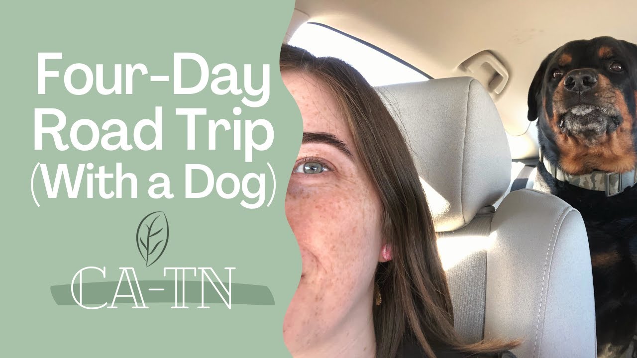 Four-Day Road Trip From CA-TN | Brit Abroad | Did I Break the Car?