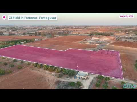 Field in Frenaros,
