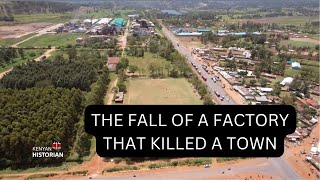 THE FALL OF A GIANT FACTORY THAT KILLED A TOWN: The story of Panpaper mills and the fall of Webuye
