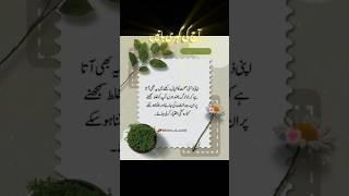 Jo Aapko Galat Samjhe Unse Bahas Na Kre💯👍🏻#rightline #islamicstatus #muslimcontent #urduquotes#viral