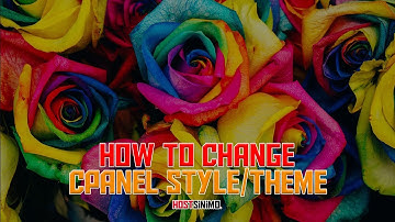 cPanel Guidance: How to change your cPanel style?