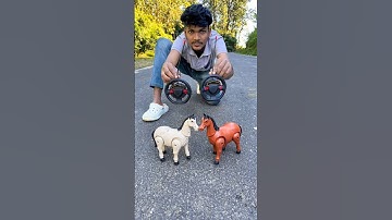 RC Remote Control 2 Ta Horse 🐎 Unboxing And Testing 😱