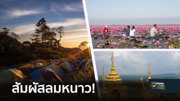 สัมผัสลมหนาว! เสน่ห์ยอดดอยหลวงเชียงดาว ชมหมอกยามเช้า  | 10 ธ.ค.61 | ตามข่าวเที่ยง
