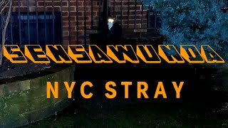 Sensawunda - NYC Stray | Chill Lofi Hip Hop | 2023 New Release