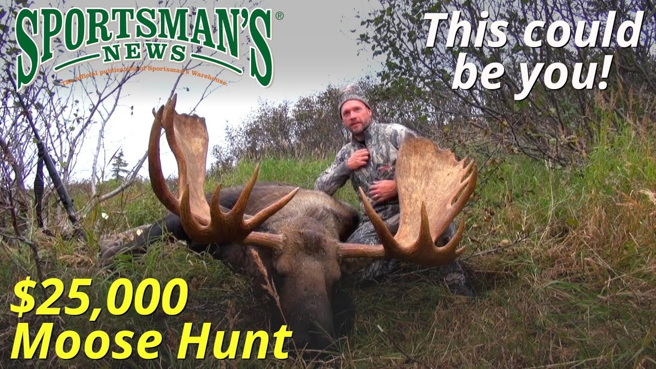 The best Moose hunt in Alaska.. - YouTube