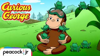 George&#39;s Froggy Mix-Up | CURIOUS GEORGE