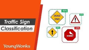 Traffic Signs Classification