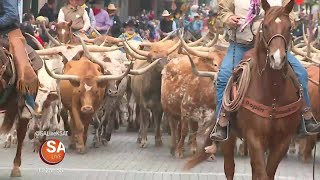 2018 Western Heritage Parade and Cattle Drive Special
