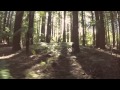 Wilderness Motorhomes  Exploring 38° South by Matt Hardy  - Endless New Zealand
