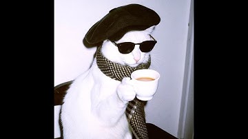 The YouTube algorithm hates me. Pt II