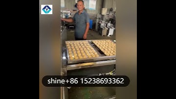 Sugar Pressing Machine Rice Powder Cake Making Machine Mung Bean Cake Machine