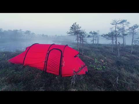 Video: Päevane Uinak