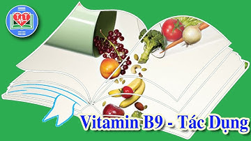 Tác Dụng Của Vitamin B9 Đối Với Sức Khỏe Chủ Động Con Người | Hinedu