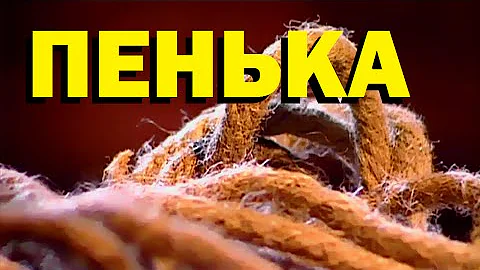Галилео. Пенька