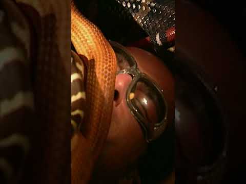 He S Covered In SNAKES Shorts