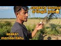 NGABUBURIT PALING BERUNTUNG_LANGSUNG DAPAT BANYAK😍