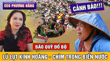Bão Quỷ Số 15 Đổ Bộ: Nguyễn Phương Hằng Tiên Tri "Toàn Bộ Là Nước" - Lũ Lụt Kinh Hoàng 2025!