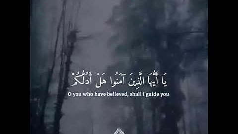 حالات واتساب قرآن كريم بصوت القارئ أحمد الشافعي