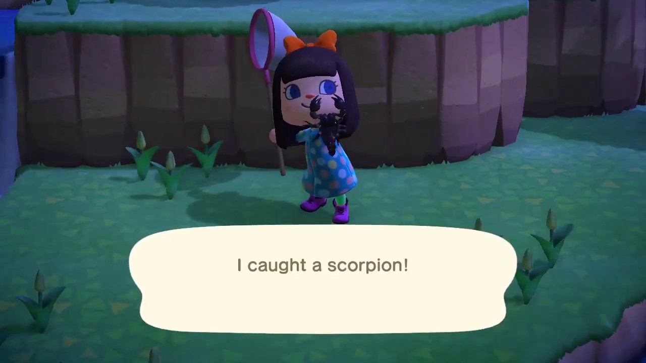 HOW TO CATCH A SCORPION in ANIMAL CROSSING NEW HORIZONS YouTube