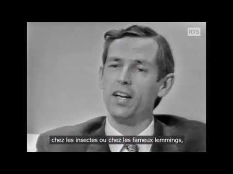Vidéo: Quand est mort Jacques Piccard ?