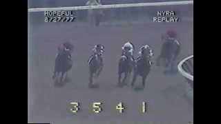 Affirmed vs. Alydar - 1977 Hopeful Stakes (3rd Meeting)