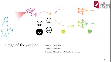 Deep Learning-Based Facial Emotion and Gender Detection and Recognition