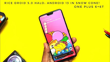Ricedroid 5.0 Halo OnePlus 6+6T update 1st Sept: Android 13 features in snow cone!