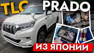 картинка: Привезли ЛУЧШИЙ ВНЕДОРОЖНИК из Японии❗ TLC Prado — купили, обслужили и отправили в КАЛИНИНГРАД!