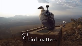 Tracking Birds in Space &amp; Time – Bird Matters S01E10