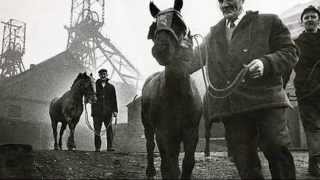 Pony-driving Song - Folly Bridge