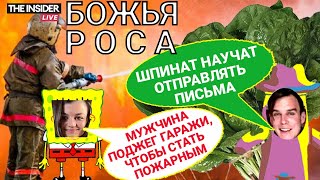 Шпинат научат искать мины | Ответ на санкции — больше водки | Пенсионеры ищут двойников Путина