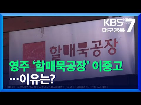 [여기는 안동] 영주 ‘할매묵공장’ 이중고…이유는? / KBS  2021.12.06.